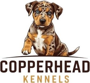 Copperhead Kennels logo: an illustrated merle Catahoula puppy above the kennel name